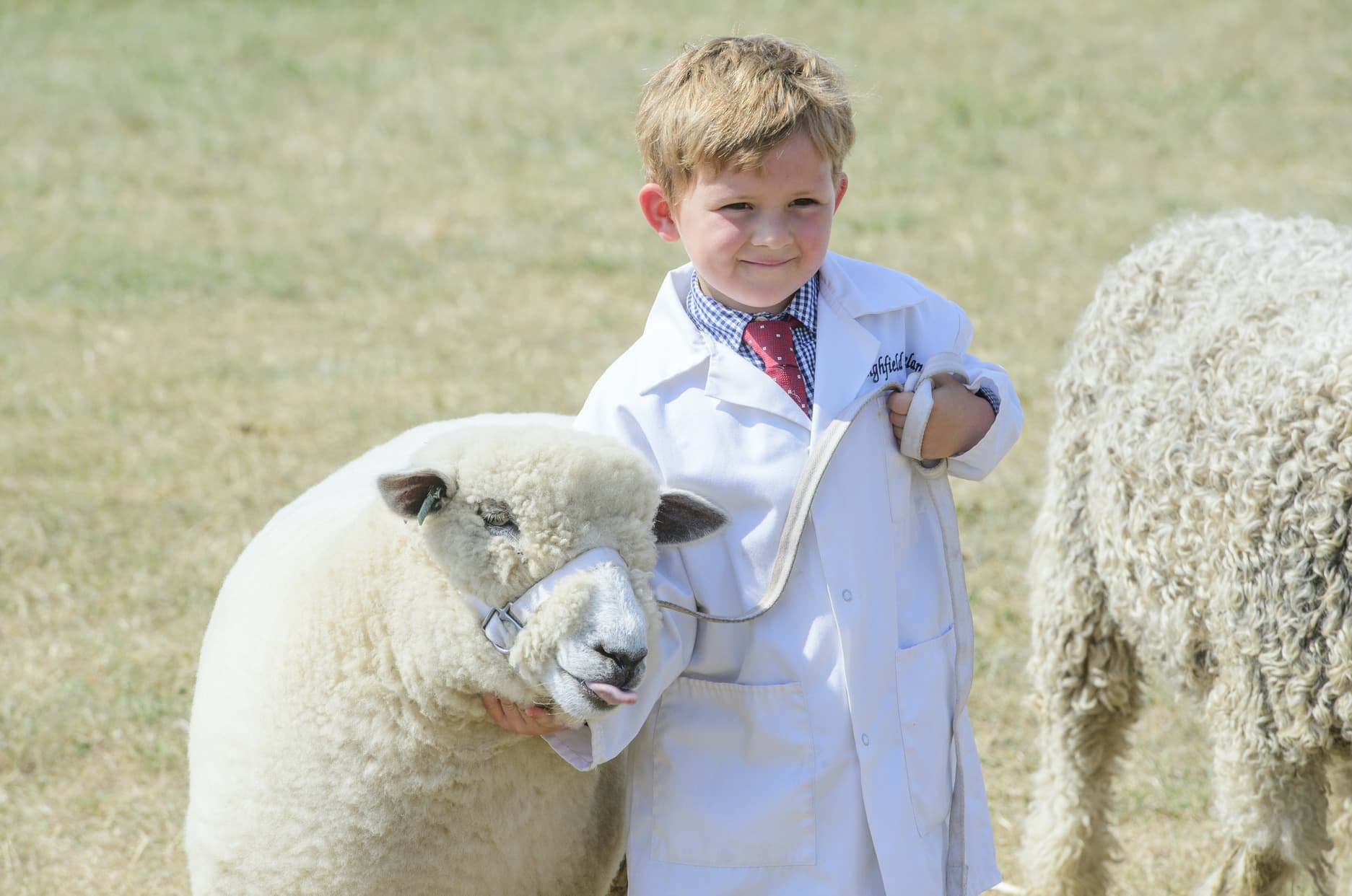 Everything you need to know about the Lincolnshire Show on 17th and 18th June